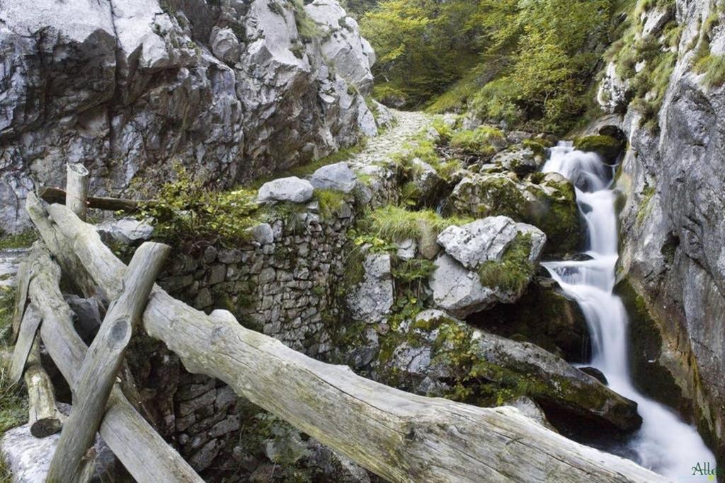 Los Molinos - Atico En Montana De Asturias فيليتشوسا المظهر الخارجي الصورة