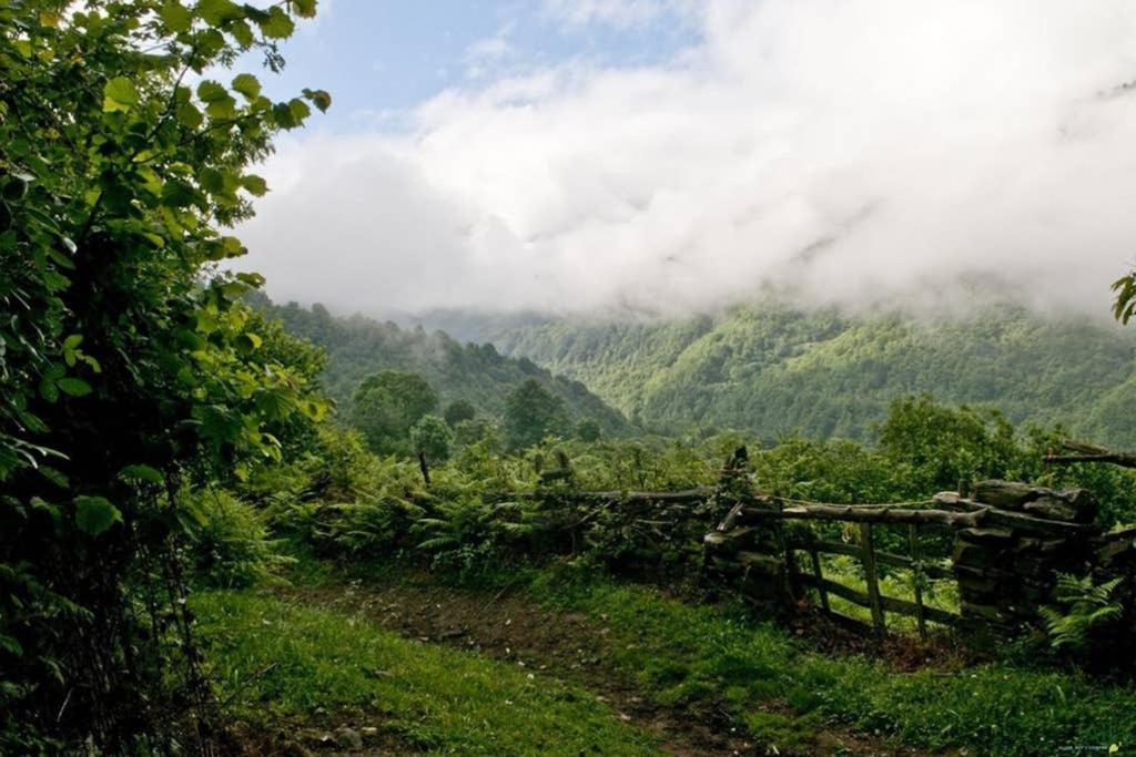 Los Molinos - Atico En Montana De Asturias فيليتشوسا المظهر الخارجي الصورة