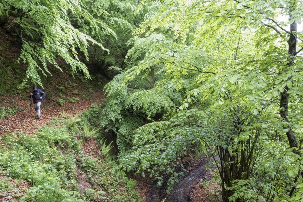 Los Molinos - Atico En Montana De Asturias فيليتشوسا المظهر الخارجي الصورة